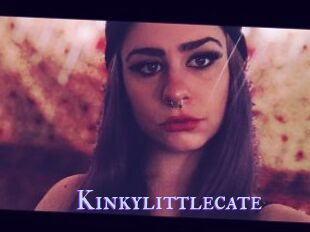 Kinkylittlecate