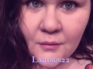 Ladybug22