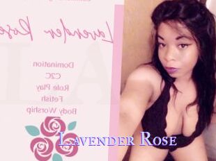 Lavender_Rose