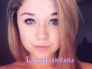 LillyLantana