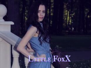 Little_FoxX