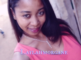 Laylahmorgane