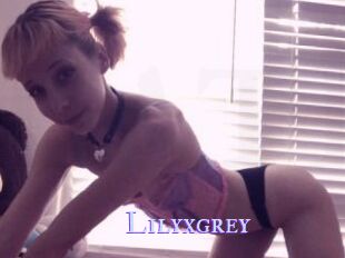 Lilyxgrey