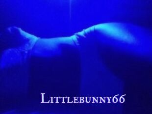 Littlebunny66