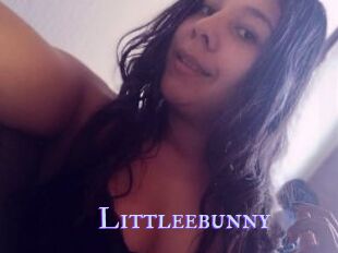 Littleebunny