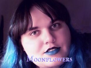 Moonflowers