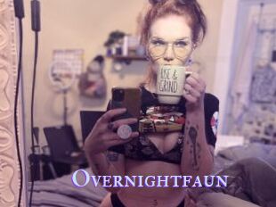 Overnightfaun