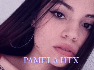 PAMELA_HTX