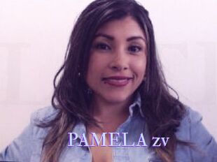 PAMELA_zv