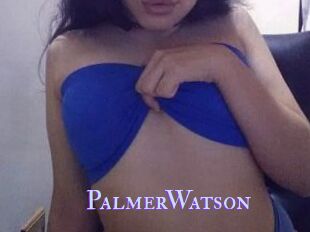 PalmerWatson