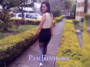 PamEinhorn