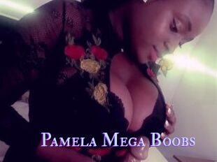 Pamela_Mega_Boobs