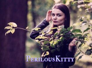 Perilous_Kitty