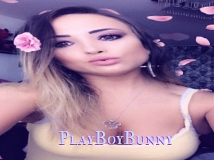 PlayBoyBunny