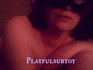 Playfulsubtoy