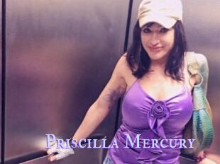 Priscilla_Mercury