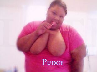 Pudgy