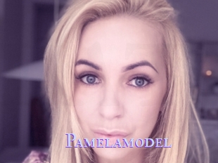 Pamelamodel