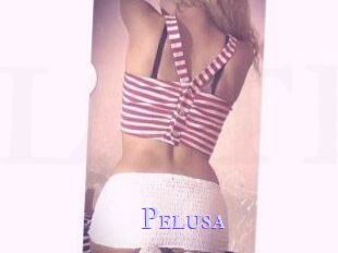 Pelusa