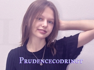 Prudencecodringt