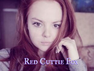 Red_Cuttie_Fox