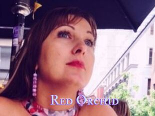 Red_Orchid