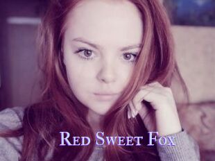 Red_Sweet_Fox