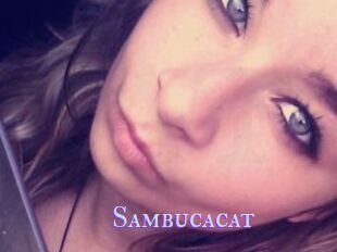 Sambucacat