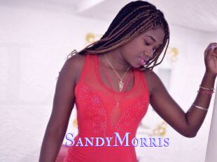 SandyMorris