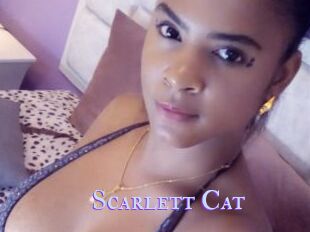 Scarlett_Cat