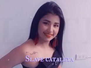 Slave_cataleya