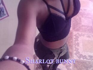 Sharlot_bunny