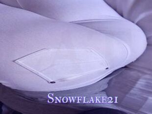 Snowflake21