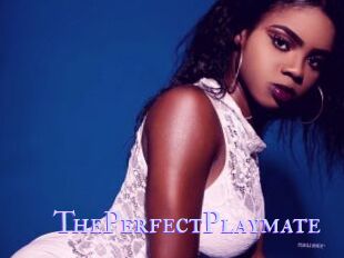 ThePerfectPlaymate