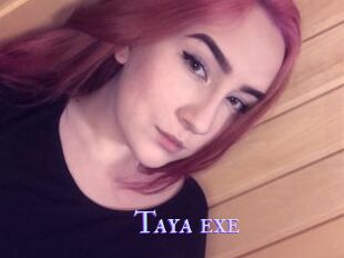 Taya_exe