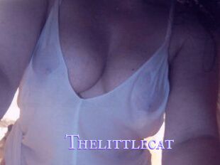 Thelittlecat