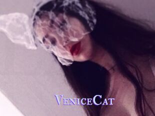 VeniceCat