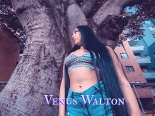 Venus_Walton