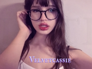 Velvetcassie