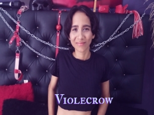 Violecrow