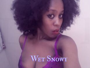 Wet_Snowy