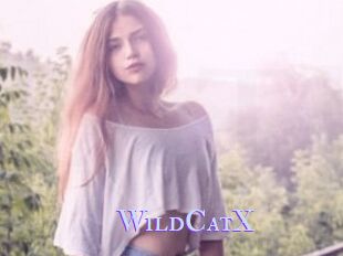 Wild_CatX