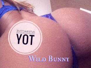 Wild_Bunny_