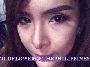 Wildflowerofthephilippines