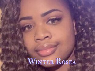 Winter_Rosea