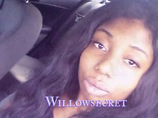 Willow_secret