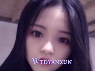 Wtdyanxun