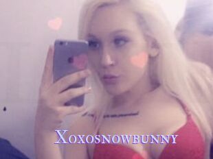 Xoxosnowbunny