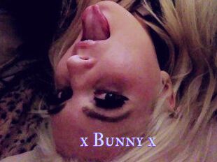 _x_Bunny_x_