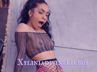 Xyliniadivinelilbih